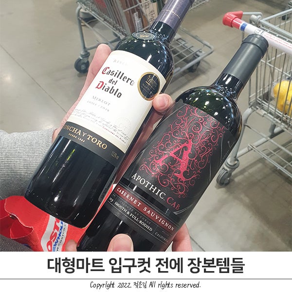 대형마트 입구컷 당하기 전 장본템들 대형마트 입구컷 당하기 전 장본템들