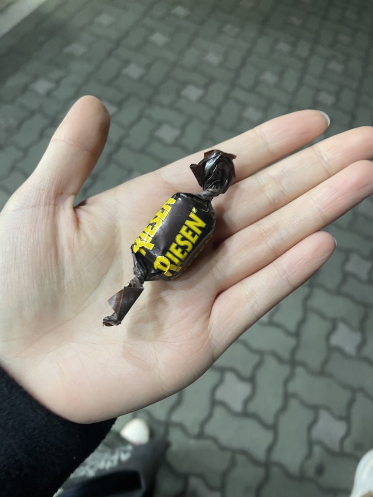  2021.02.08 화요일