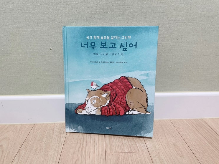  슬픔을 달래는 그림책  <너무보고싶어>
