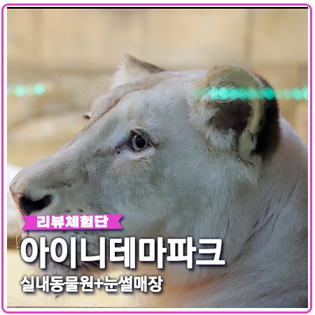 대구 아이니테마파크 실내동물원 핫플 인정 대구 아이니테마파크 실내동물원 핫플 인정