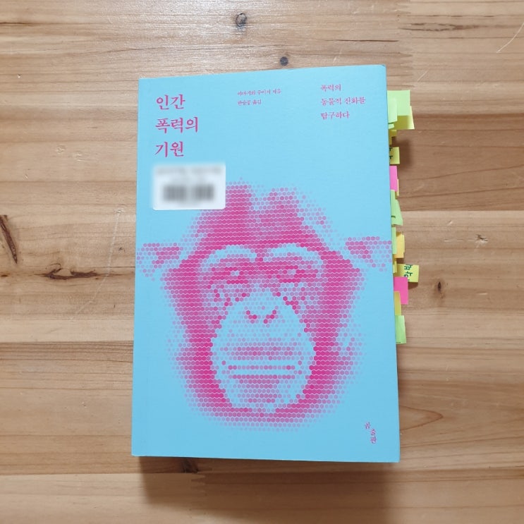  인간 폭력의 기원, 야마기와 주이치