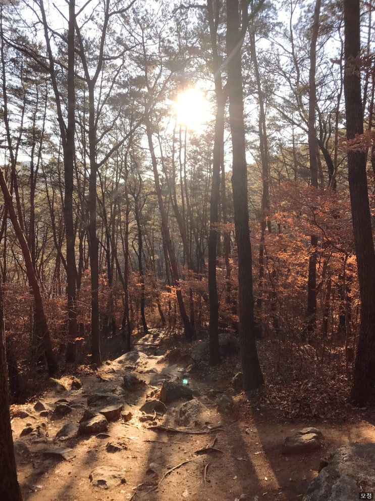  걷다, 발견하다