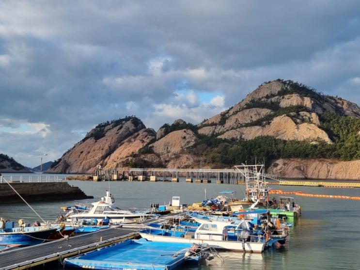  육신주 [도선명리]