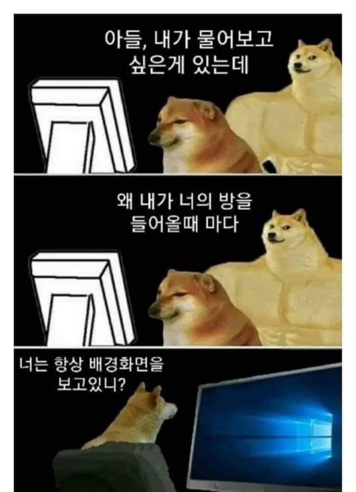  웃고가자!웃긴 짤 모음 2탄이 왔다!