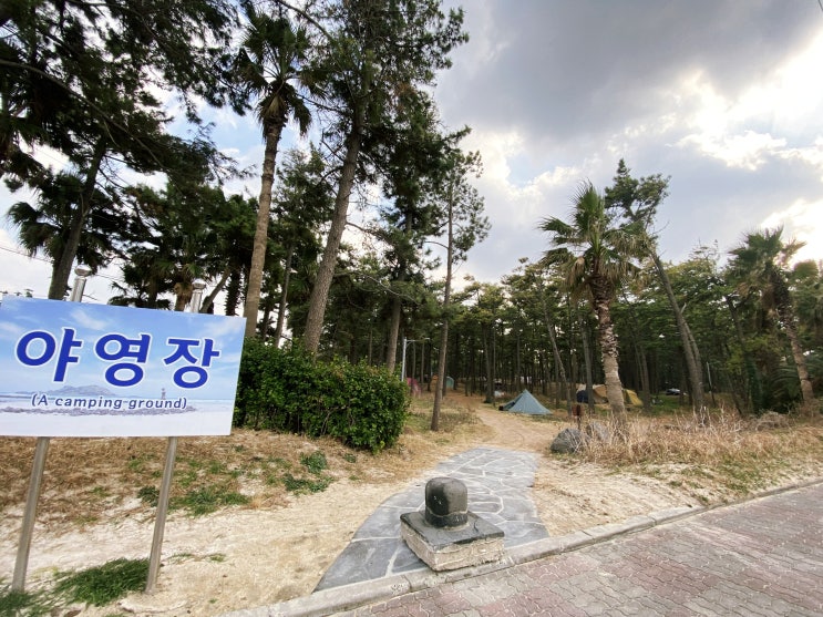  제주 캠핑하기 좋은 장소 협재해수욕장 야영장
