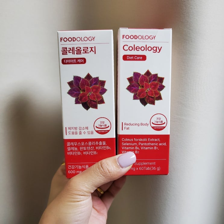  콜레올로지 후기 _ 빨간통 다이어트 자기전2알 건강기능식품! 솔직하게 대공개