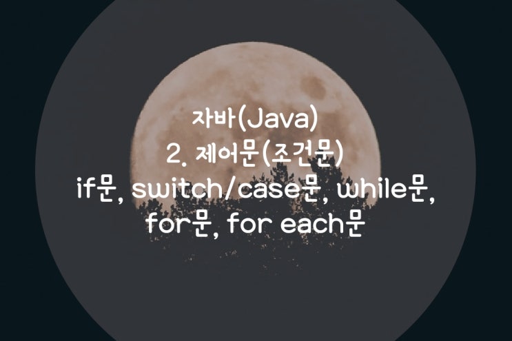  점프Java  2.제어문 : if문, switch/case문, while문, for문, for each문