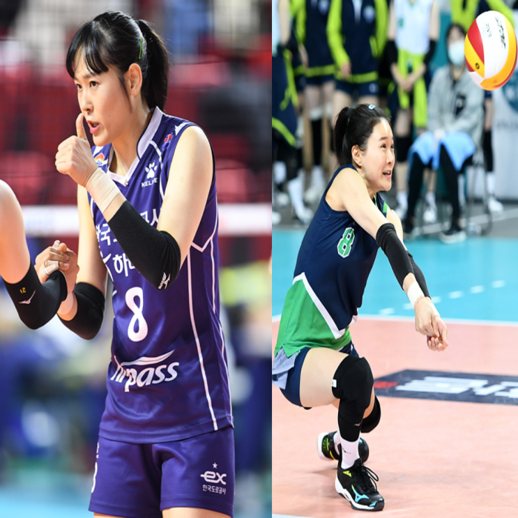 여자배구 도로공사 현대건설 2월 9일 경기예상(켈시 박정아 임명옥 야스민 양효진 이다현 현대건설코로나)