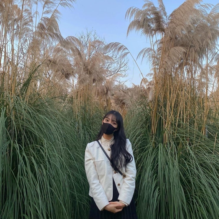  당일치기 태안 여행 : 친구랑 당일치기, 태안 핫플들 大공개!(신두리해안사구, 파도리해수욕장 해안동굴, 청산수목원, 와우재)