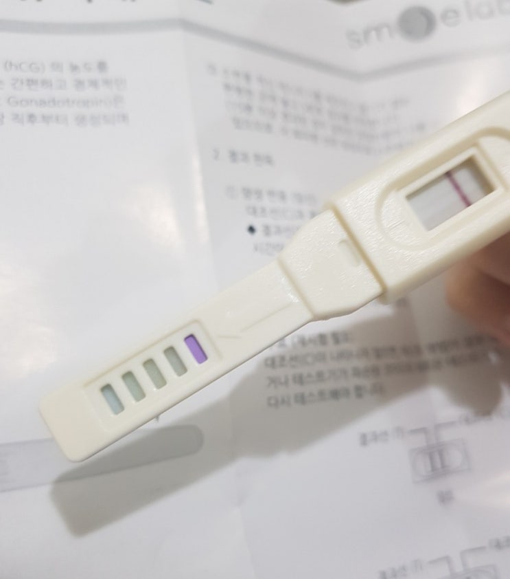  임테기 사용시기 (임신테스트기 사용법, 결과)