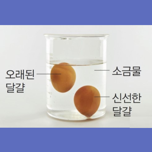혼합물의 분리 방법 밀도 끊는점 용해도 차이 이용한 혼합물 분리법 : 네이버 블로그