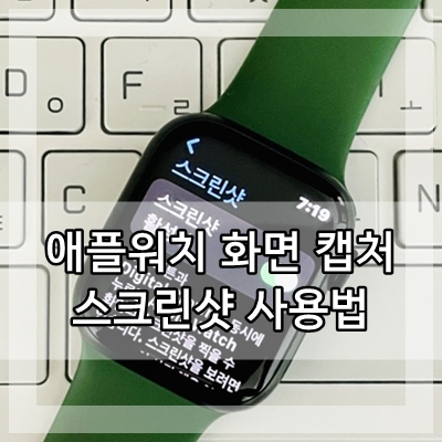  애플워치 화면 캡처 스크린샷 사용법