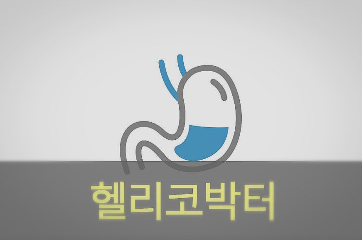  헬리코박터균 원인과 증상, 예방, 좋은 음식
