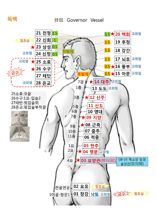  등의 혈자리