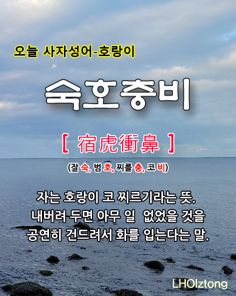  [771] 오늘 사자성어 숙호충비(宿虎衝鼻)의 뜻은?