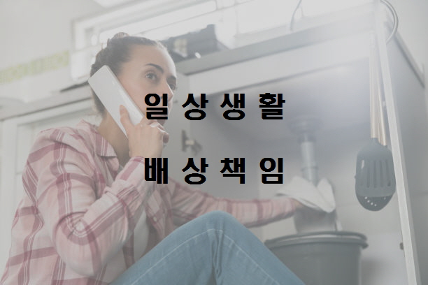  일상생활배상책임보험/자녀일상배상책임/가족일상배상책임 보상받는 필수 조건