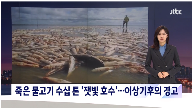  브라질 물고기 떼 죽음.... 무슨일?
