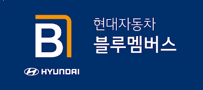 [블루멤버스포인트]포인트적립방법, 사용방법, Hyundai Mobility / Platinum 카드, 블루멤버스카라이....