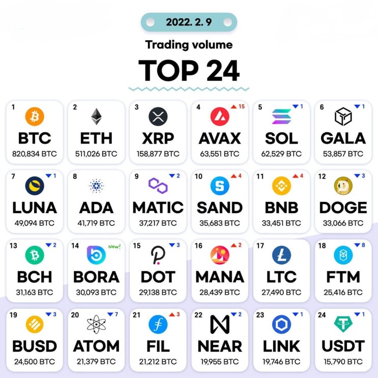 2월9일 거래량 TOP 24 및 투자 목록
