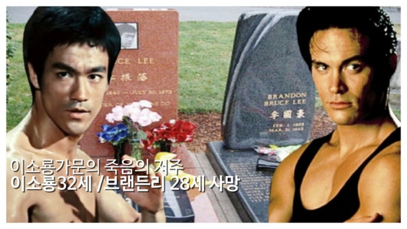 이소룡가문의 저주