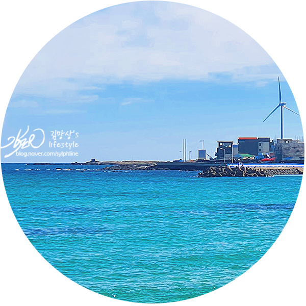 제주도렌트카 처음이라면 꼭 보기! 제주도렌트카 처음이라면 꼭 보기!