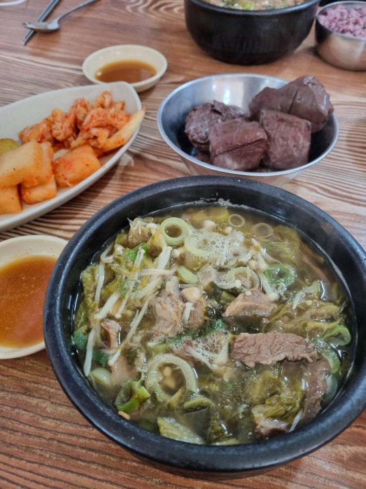  수원 맛집 유치회관 갈비탕스러운 선지 해장국