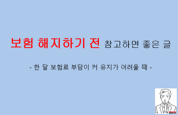  한 달 보험료 부담이 커 유지가 어려울 때 보험 해지하기 전 참고하면 좋은 글