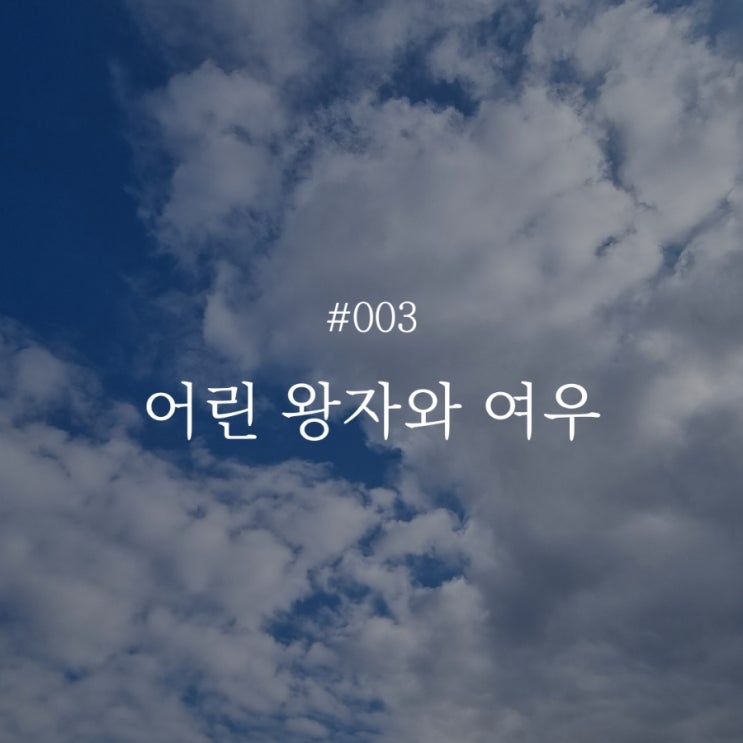  낭만 챌린지 003 :: 어린 왕자의 여우처럼