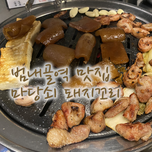  범내골역 맛집, 뒷통구이가 기가 막힌 마당쇠 돼지꼬리