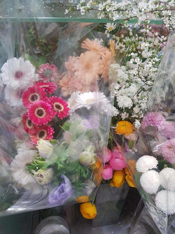 이번주 사입꽃들/더로즈플라워/가산동꽃집/독산동꽃집/금천구꽃집/시흥동꽃집/광명시꽃집