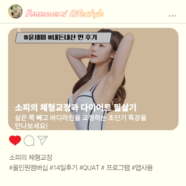  홈트 콰트 ; 올인원 멤버십 사용방법
