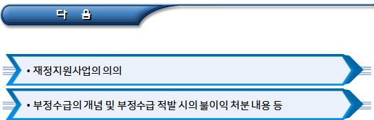 사회적기업 재정지원사업 부정수급 조사 사회적기업 재정지원사업 부정수급 조사