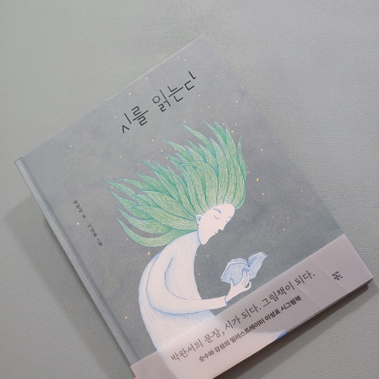  시를 읽는다 _ 시 한 편을 그림과 함께 할 수 있는 어른을 위한 그림책