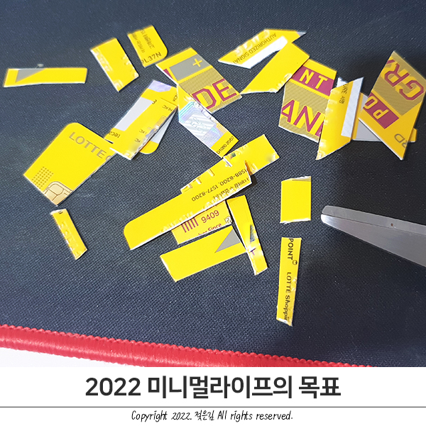 2022 올해의 미니멀라이프 목표