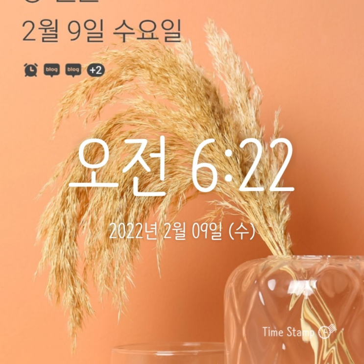  알파카모닝 12일차! 오늘은 헬스장. 스크램블 아침과 예쁜 캘리그라피도 완성~!