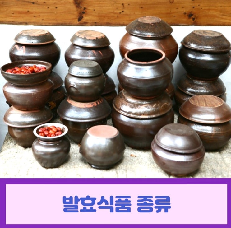  발효식품 종류 4가지와 특징 깔끔 정리