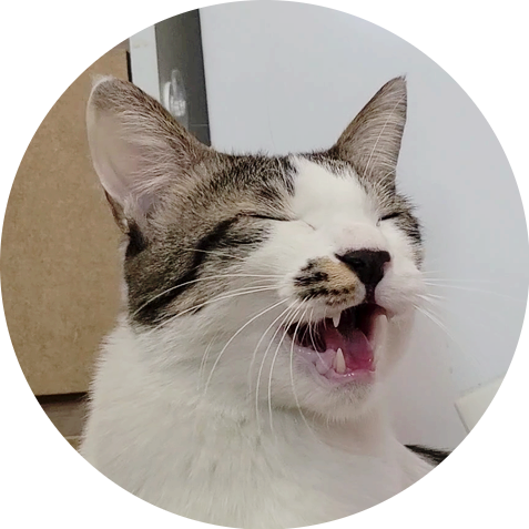 나의 친구 나의 가족 반려동물! 우리 집 귀염둥이 도니즈 나의 친구 나의 가족 반려동물! 우리 집 귀염둥이 도니즈