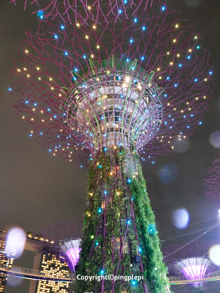 싱가포르 가든스바이더베이 크리스마스 원더랜드 슈퍼트리쇼 2탄