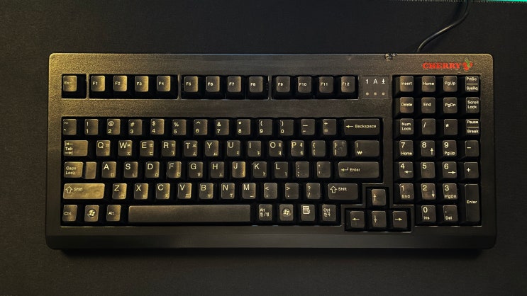  체리키보드 청축 CHERRY MX-1800, 기계식 입문기까지