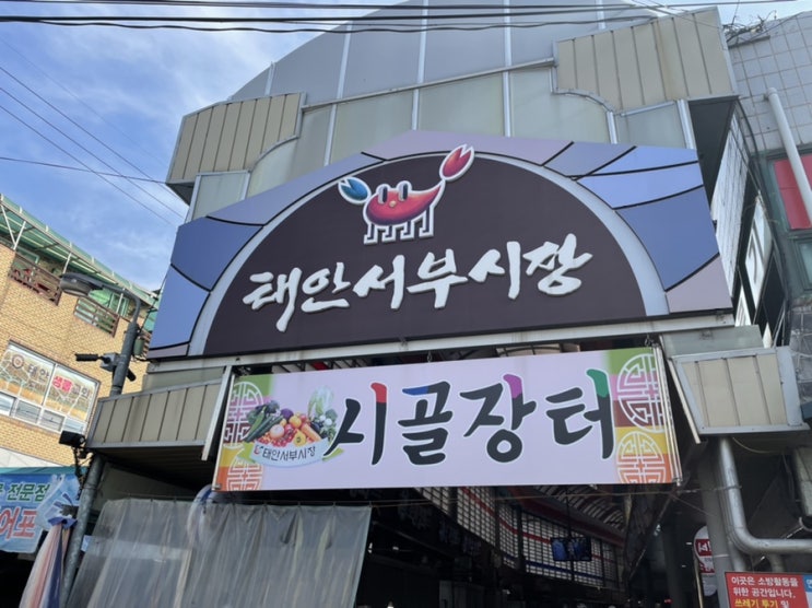  태안 안흥상회 앞에서 자연산 홍합, 말 구매 (겨울홍합 진리)
