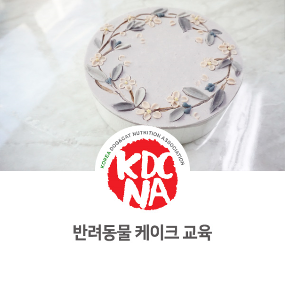  강아지 고양이 수제 케이크 소개 [한국반려동물영양협회/펫베이커리/펫푸드자격증/애견수제간식창업/보령/광주/경주/밀양/거제_966]