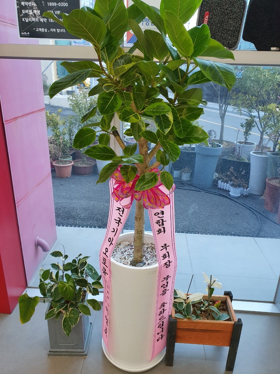 기아오토큐 신해남점 사진 4