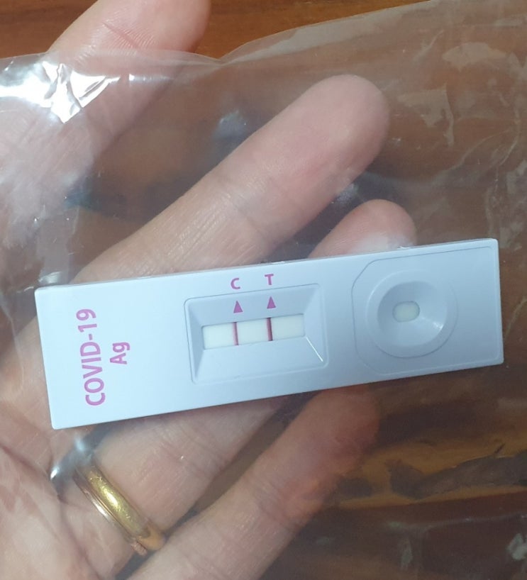  [일상] 큰아들 자가키트 검사