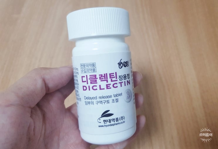  입덧약 디클렉틴 입덧 심할때 증상 효과