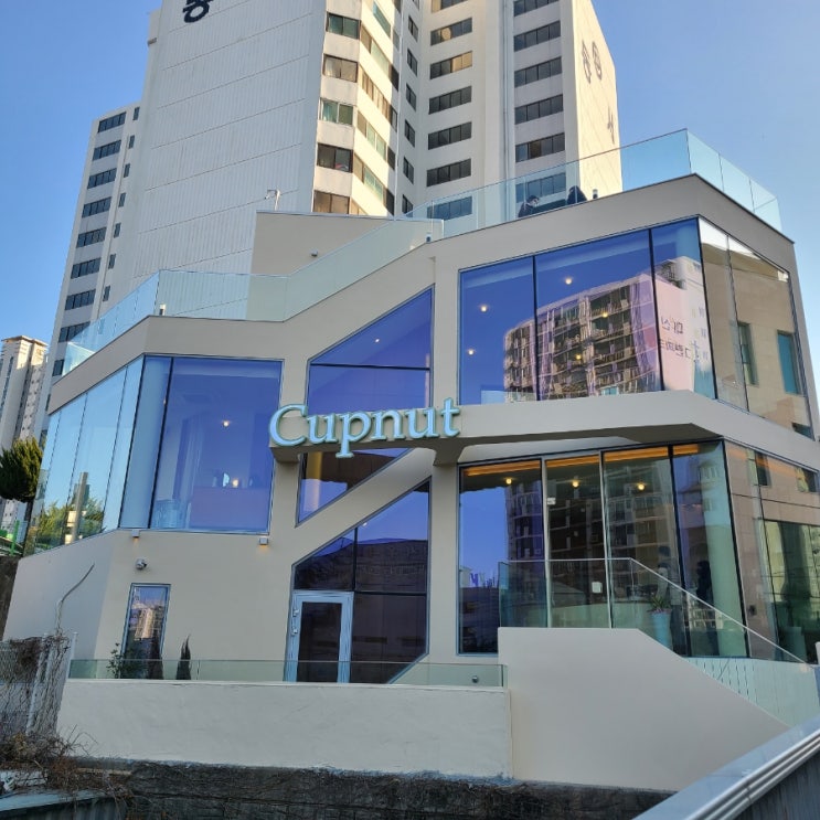  울산 카페 (컵넛 울산점)