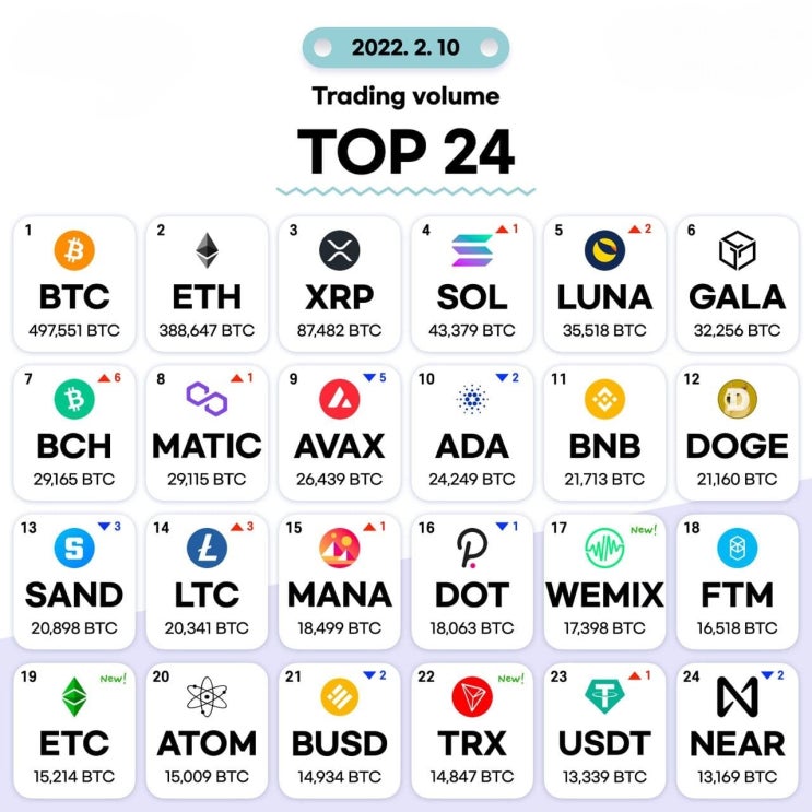 2월10일 거래량 TOP 24 및 투자 목록