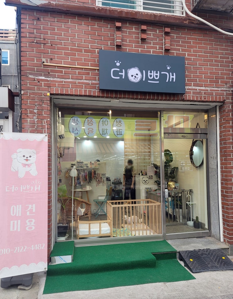  [애견미용실] 쫄보 예민보스 말티즈 행복이 미용 더이쁘개