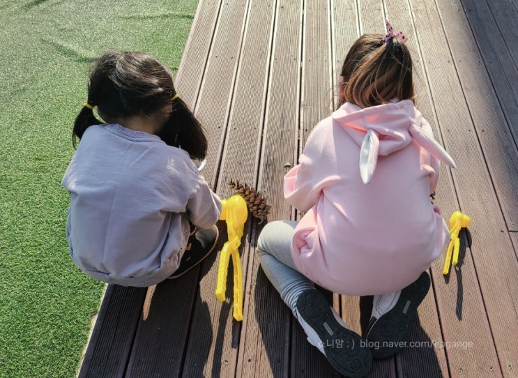  봄이 오는것 같아요!