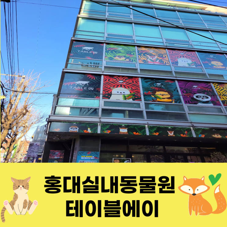  홍대실내동물원 라쿤정도는 있어줘야 이색데이트