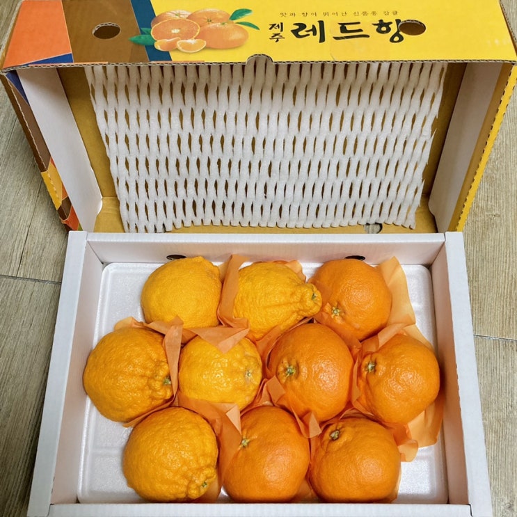  [서귀포 환돌이네] 당도 높고 품질 좋은 한라봉/레드향 택배 후기